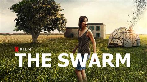 the swarm netflix|More.